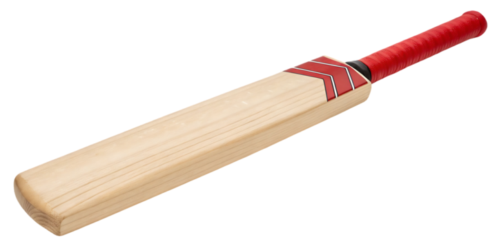 cricket bat