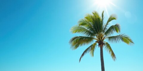 A Single Palm Tree Silhouetted Against a Vivid Azure Sky, Bathed in the Warm Glow of a Bright Sunny Day, Evoking a Sense of Tranquil Tropical Paradise