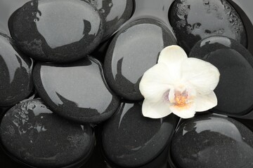 Spa stones and orchid flower on water surface, top view