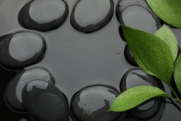 Frame of spa stones and green leaves on water surface, flat lay. Space for text