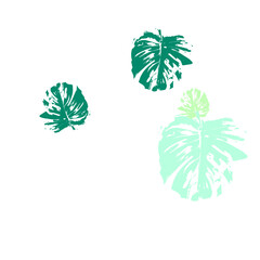 Obraz premium set of palm trees