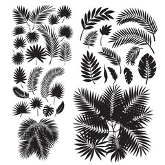 seamless pattern with palm trees