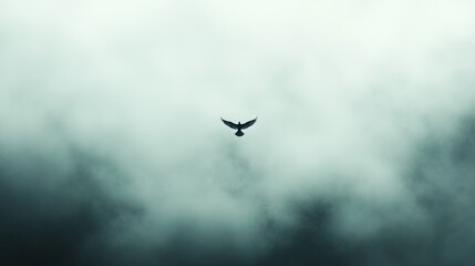 Fototapeta premium Solitary Flight: A Bird's Journey Through Misty Skies