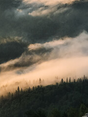 A beautiful, foggy mountain densely covered in vibrant green trees, with a cloudy sky in the background creating a stunning atmospheric scene that showcases the wonders of nature