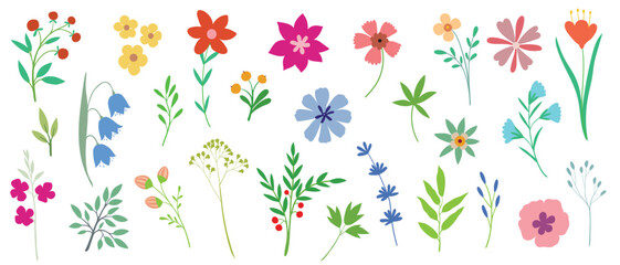 Set floral of wildflower, leaf branch, foliage on white background. Hand drawn blossom illustration for decor, easter, sticker, clipart, print.