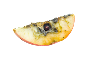 a half eaten apple with a biter Cutout and isolated and transparent background image