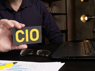Chief Information investment Officer CIO is shown as the business concept