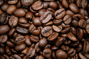 Roasted coffee beans
