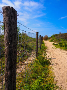 Fence in Simli dunes - Nieuwpoort, Belgium - vertical