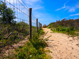 Fototapeta premium Fence in Simli dunes - Nieuwpoort, Belgium - horizontal