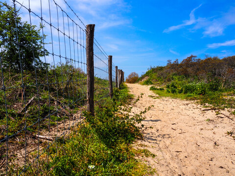 Fence in Simli dunes - Nieuwpoort, Belgium - horizontal