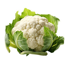 A Giant Cauliflower Isolated on Transparent Background