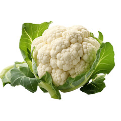 A Cauliflower Isolated on White Background