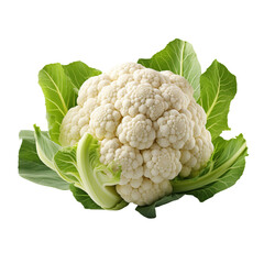 Cauliflower Isolated on White Background