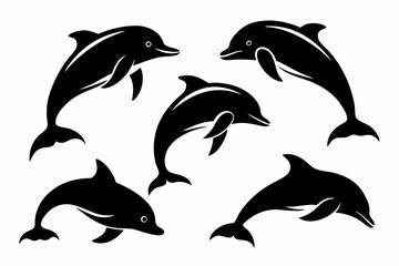 dolphin set line art silhouette vector illustration