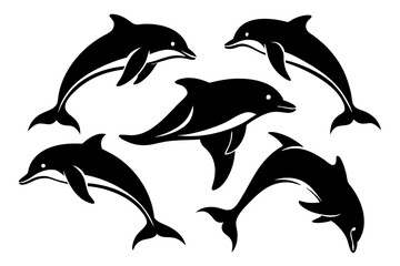 Obraz premium dolphin set line art silhouette vector illustration