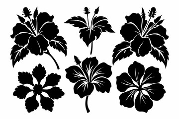 hibiscus flower set line art silhouette vector illustration © Pinak