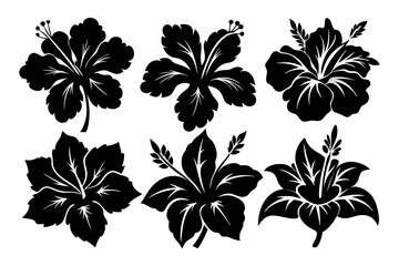 hibiscus flower set line art silhouette vector illustration