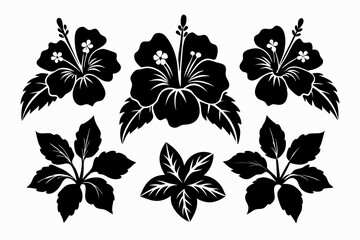hibiscus flower set line art silhouette vector illustration