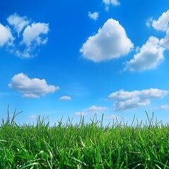 Fototapeta premium Serene Summer Landscape with Bright Sky and Lush Green Grass