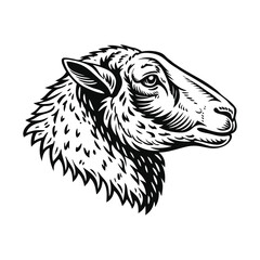 Sheep face vector illustration design, detailed vector, hand drawn style, monochrome design, isolated on a white background