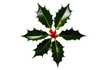 holly leaves and berries isolated  on transparent  background