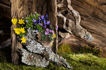 exquisite, delicate floral arrangement of colorful spring flowers against a background of wild untreated wood and moss
