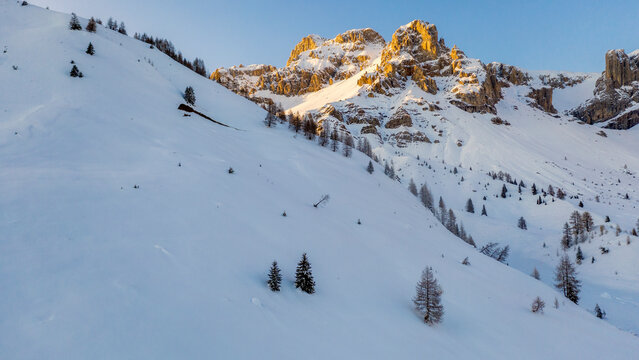 Snowy mountain landscape with jagged peaks lit by the setting sun. Scattered trees dot the snow-covered slopes. Clear blue sky above.  Pian di Fuciade, Pale di San Martino, Dolomites, Trentino, Italy