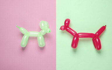 Two balloons in the shape of a dogs on blue pink pinkbackground. Top view