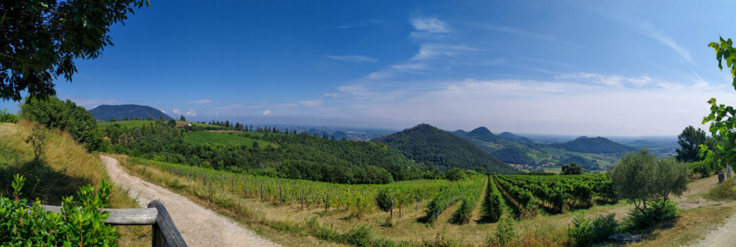 Vista panorama Colli Euganei