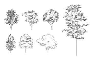 Minimal style cad tree line, Side view, set of graphics trees elements outline symbol for architecture and landscape design drawing. Vector illustration in stroke fill in white. Tropical