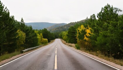 Fototapeta premium A scenic road stretching through a lush green forest, flanked by towering pine trees and vibrant autumn foliage, leading toward misty mountains in the distance under an overcast sky.