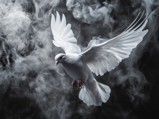 White Dove Flying Through Cloud of Smoke