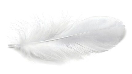 Elegant White Feather Resting on Pure Background Minimalist Composition