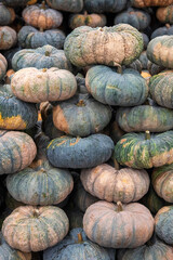 THAILAND RAYONG CITY FOOD MARKET