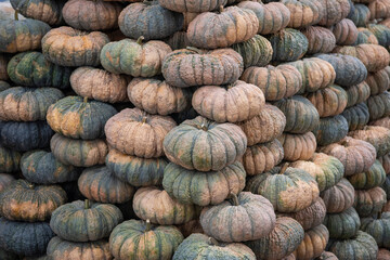 THAILAND RAYONG CITY FOOD MARKET