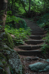 A serene path of stone steps winds upwards through a vibrant green forest. Mossy rocks and dense foliage frame the scene, creating a peaceful, natural atmosphere.