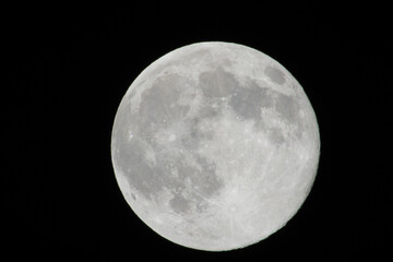 Mond