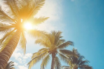 Copy space of silhouette tropical palm tree with sun light on sunset sky and cloud abstract background. Summer vacation and nature travel adventure concept. Vintage tone filter effect color style.