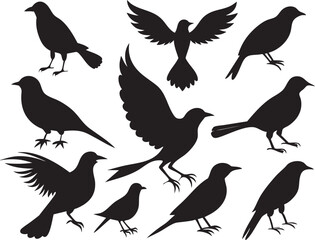 Fototapeta premium set of silhouettes of birds