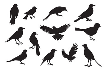 Obraz premium set of silhouettes of birds