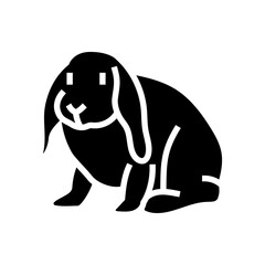 Obraz premium rabbit pet home glyph icon vector illustration