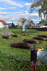 Hunting hunt for wild boar, tribute to hunted game