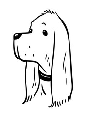 Cocker spaniel portrait. Domestic dog with long ears. Pet friend. Cartoon vector illustration. Black and white sketch hand drawn