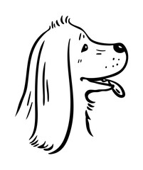 Cocker spaniel portrait. Domestic dog with long ears. Pet friend. Cartoon vector illustration. Black and white sketch hand drawn