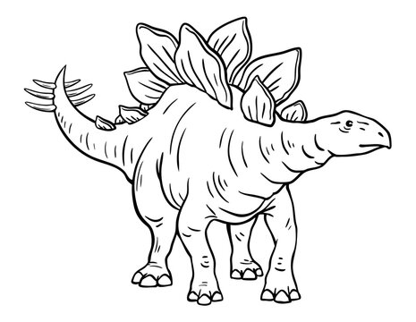 Stegosaurus of the Jurassic period. Herbivorous dinosaur with spikes on its tail. Prehistoric animal. Nature and paleontology. Vector cartoon black and white illustration. Hand drawn outline