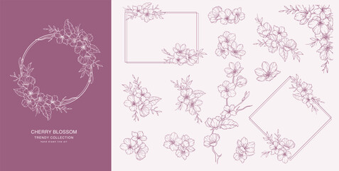 Cherry Blossom Line Art. Trendy floral branches and flowers. Botanical Line Art Sakura Collection. Hand drawn line art cherry blossom flowers. Luxury Line Floral Art. Cherry Blossom Outline