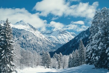 Fototapeta premium Skiing on Snowy Slope