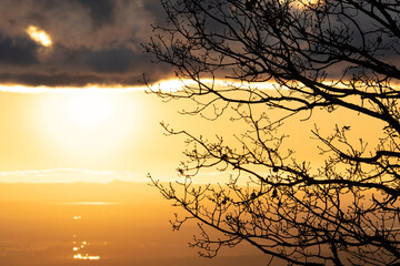 Obraz premium Backlighted winter sunset with the silouette of a tree and blank space
