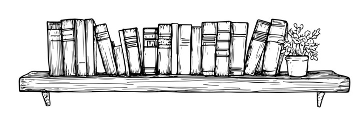 bookshelf filled with books doodle sketch vector illustration © Kaz